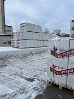 Газобетон БОРСКИЙ D500 B2.5 600х200х250