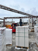 Газобетон БОРСКИЙ D500 B2.5 600х200х250